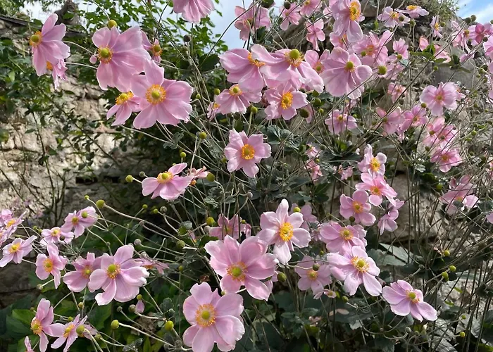 Casa Alpha Vittorio Veneto