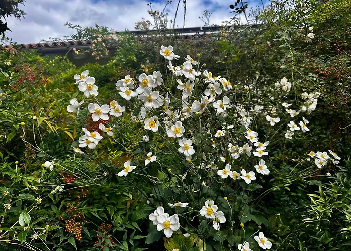 Casa Alpha Vendégház